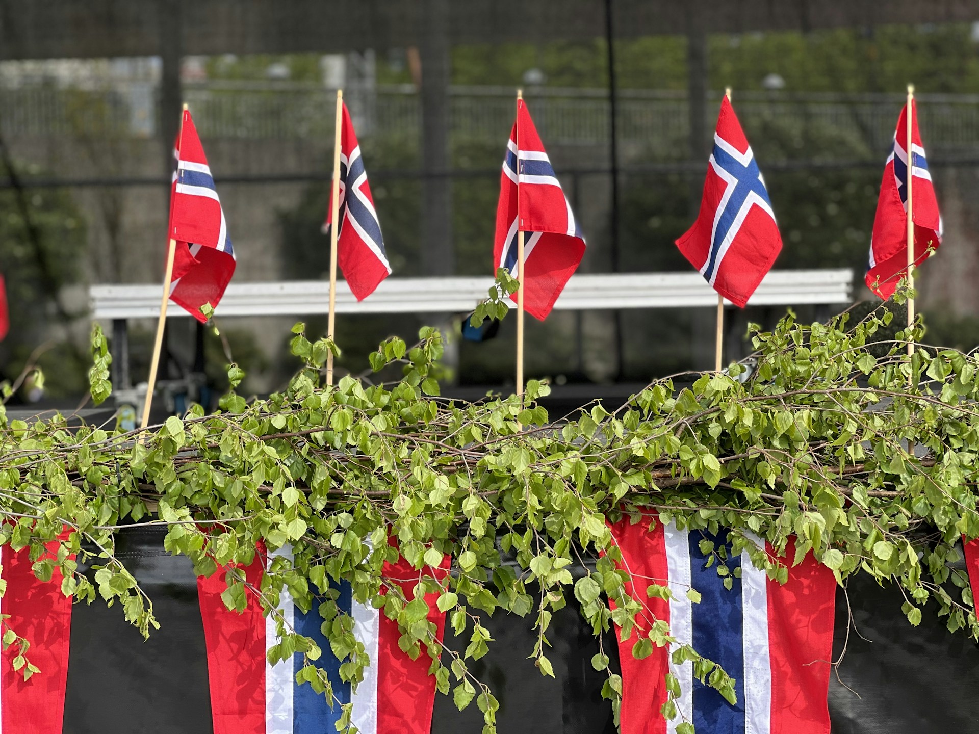 Norske flagg og friske bjørkegreiner som pynt på 17. mai